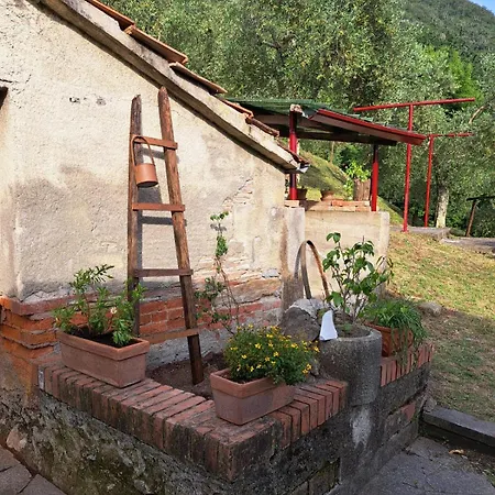 La Panciotta
